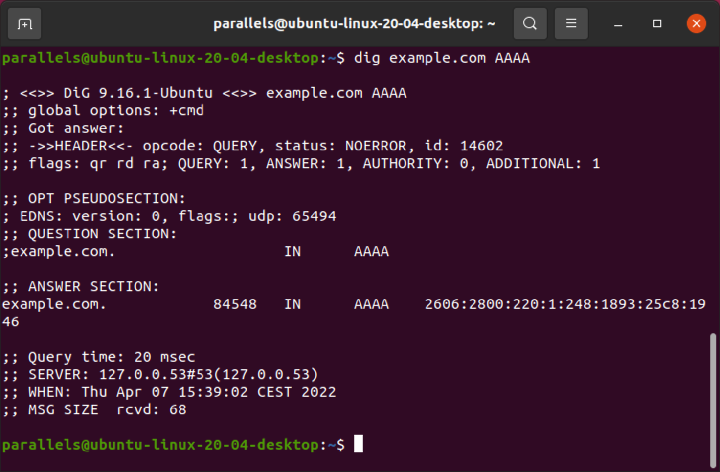 AAAA lookup in Linux